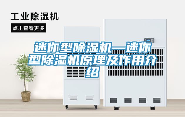 迷你型91看片网站—迷你型91看片网站原理及作用介紹