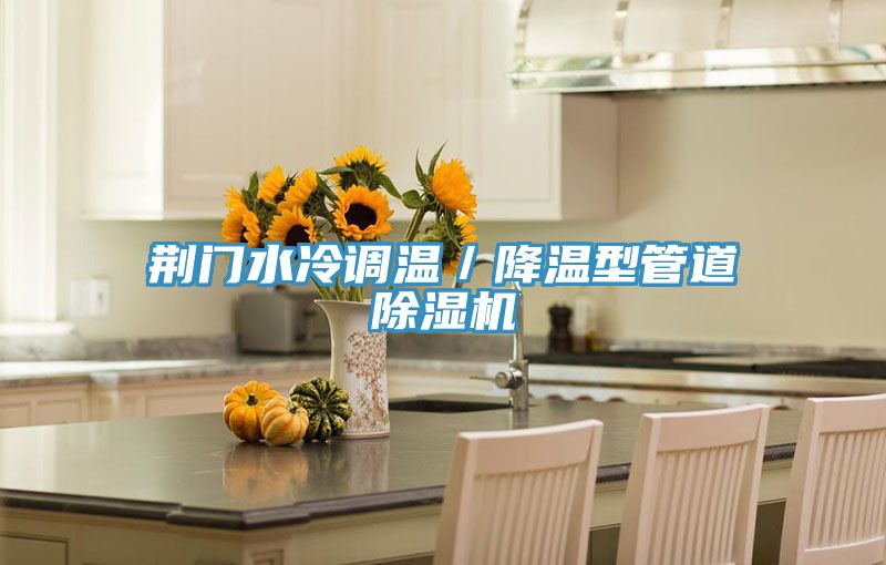 荊門水冷調溫／降溫型管道91看片网站