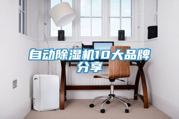 自動91看片网站10大品牌分享