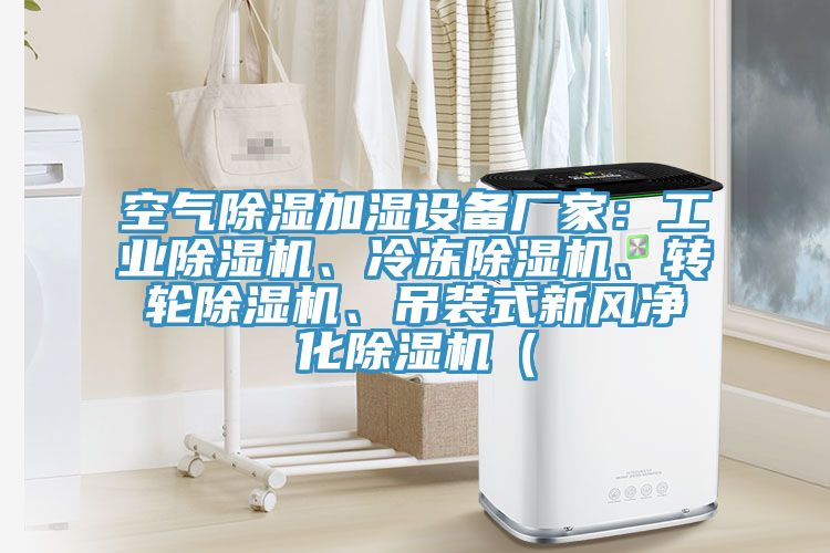 空氣除濕加濕設備廠家：工業91看片网站、冷凍91看片网站、轉輪91看片网站、吊裝式新風淨化91看片网站（