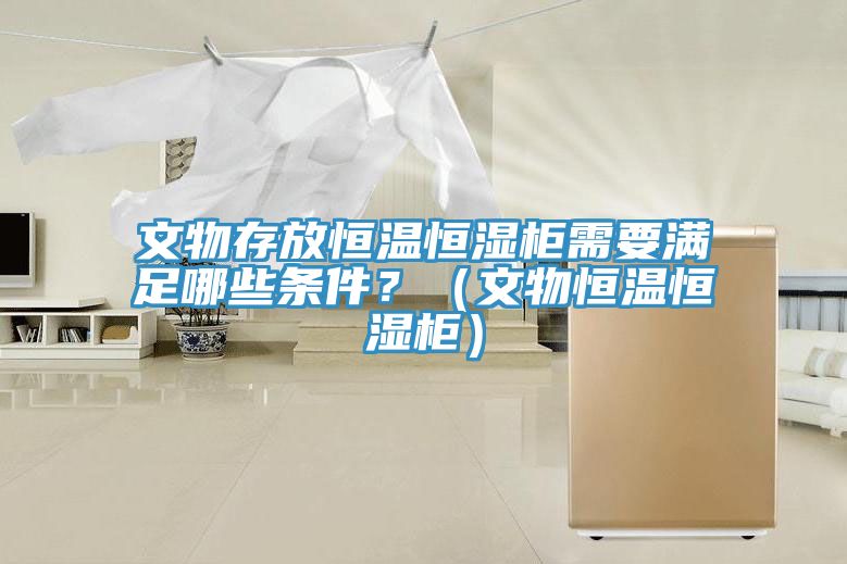 文物存放恒溫恒濕櫃需要滿足哪些條件？（文物恒溫恒濕櫃）