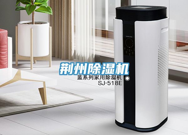 荊州91看片网站