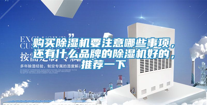 購買91看片网站要注意哪些事項，還有什麽品牌的91看片网站好的，推薦一下