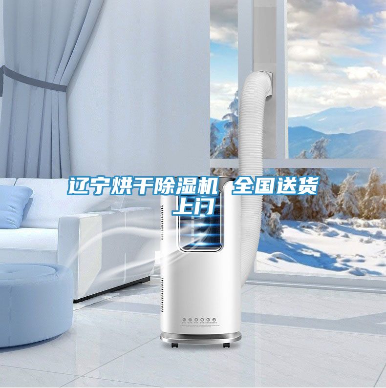 遼寧烘幹91看片网站 全國送貨上門
