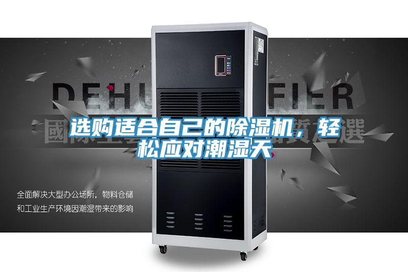 選購適合自己的91看片网站，輕鬆應對潮濕天
