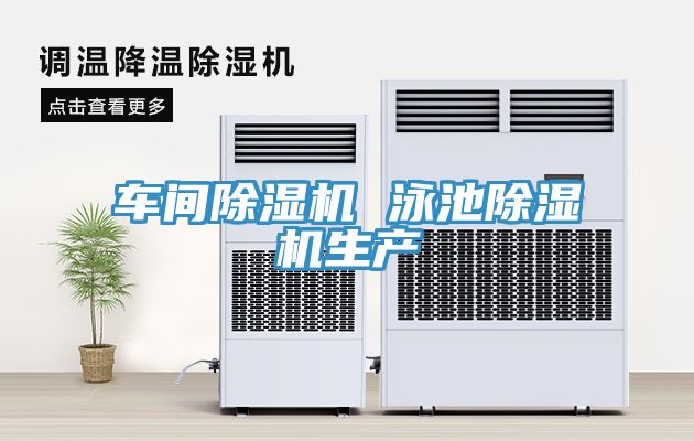 車間91看片网站 泳池91看片网站生產