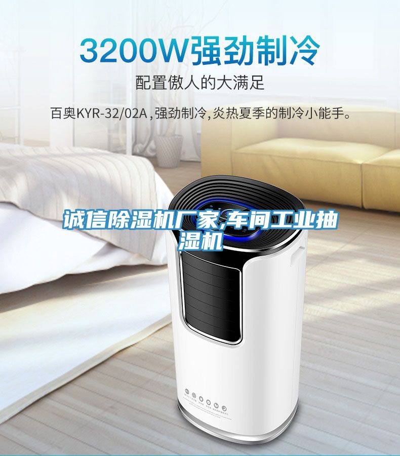 誠信91看片网站廠家,車間工業抽濕機