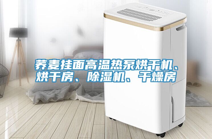 蕎麥掛麵高溫熱泵烘幹機、烘幹房、91看片网站、幹燥房