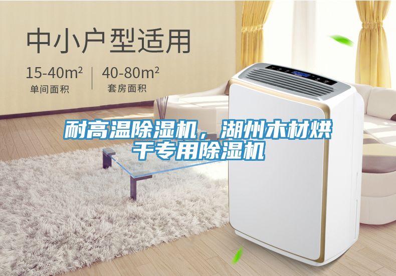耐高溫91看片网站，湖州木材烘幹專用91看片网站