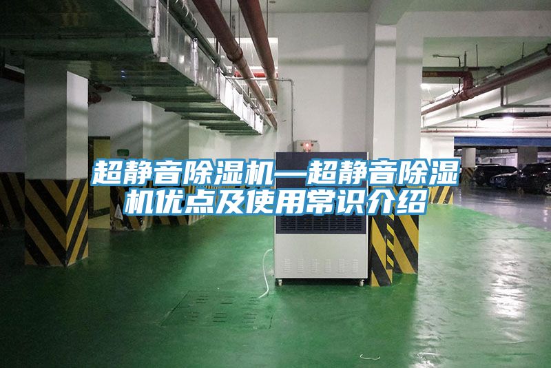 超靜音91看片网站—超靜音91看片网站優點及使用常識介紹