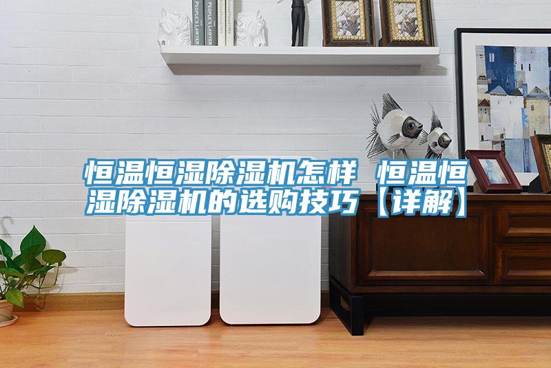 恒溫恒濕91看片网站怎樣 恒溫恒濕91看片网站的選購技巧【詳解】