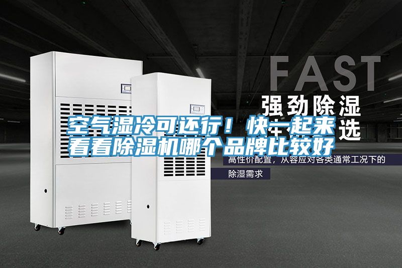 空氣濕冷可還行！快一起來看看91看片网站哪個品牌比較好