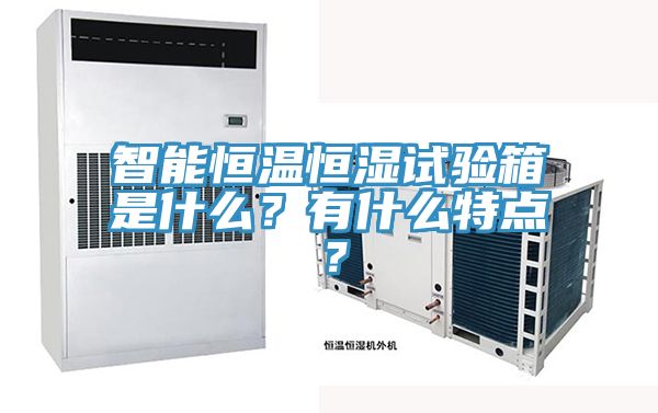 智能恒溫恒濕試驗箱是什麽？有什麽特點？