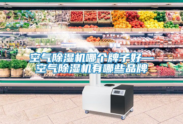 空氣91看片网站哪個牌子好—空氣91看片网站有哪些品牌