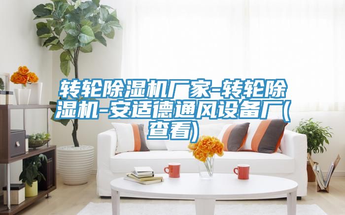 轉輪91看片网站廠家-轉輪91看片网站-安適德通風設備廠(查看)