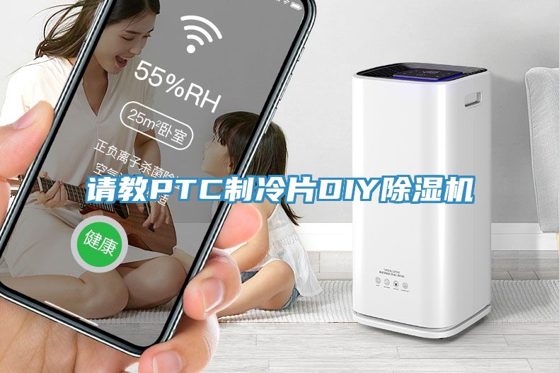 請教PTC製冷片DIY91看片网站