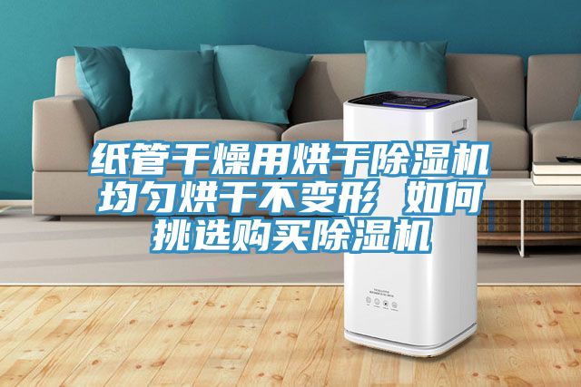 紙管幹燥用烘幹91看片网站均勻烘幹不變形 如何挑選購買91看片网站