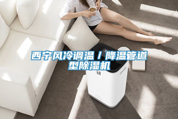 西寧風冷調溫／降溫管道型91看片网站