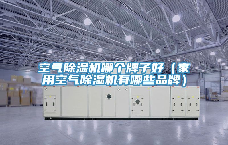 空氣91看片网站哪個牌子好（家用空氣91看片网站有哪些品牌）