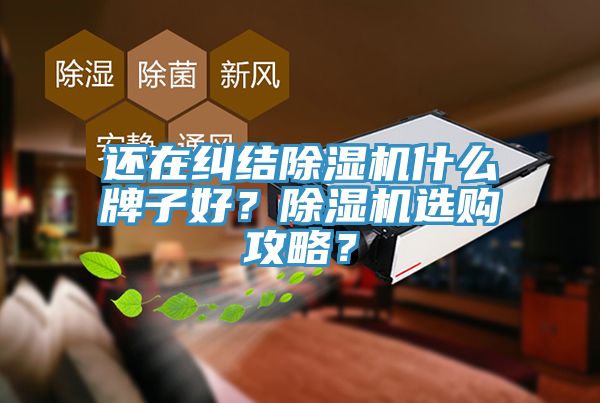 還在糾結91看片网站什麽牌子好？91看片网站選購攻略？