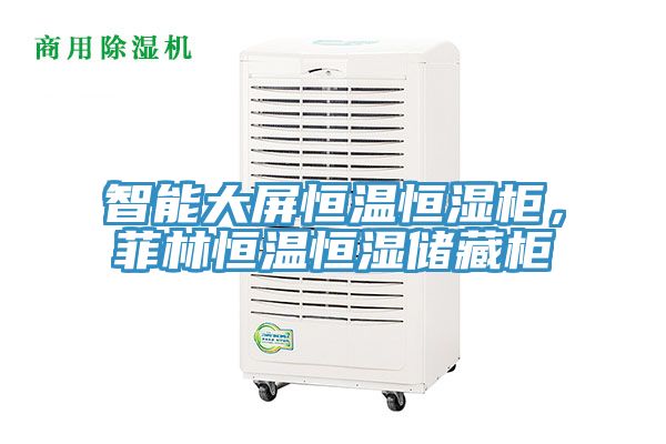 智能大屏恒溫恒濕櫃，菲林恒溫恒濕儲藏櫃