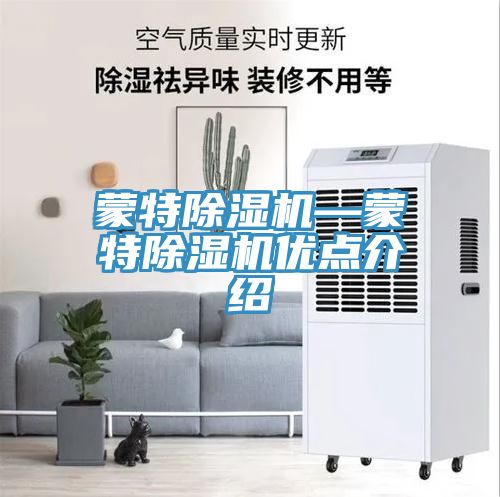 蒙特91看片网站—蒙特91看片网站優點介紹