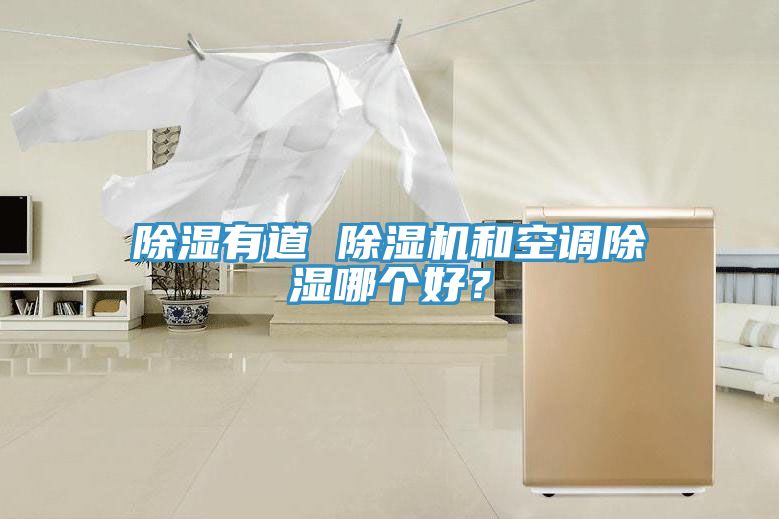 除濕有道 91看片网站和空調除濕哪個好？