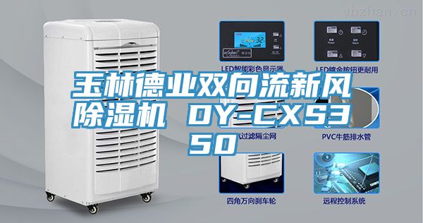 玉林德業雙向流新風91看片网站 DY-CXS350