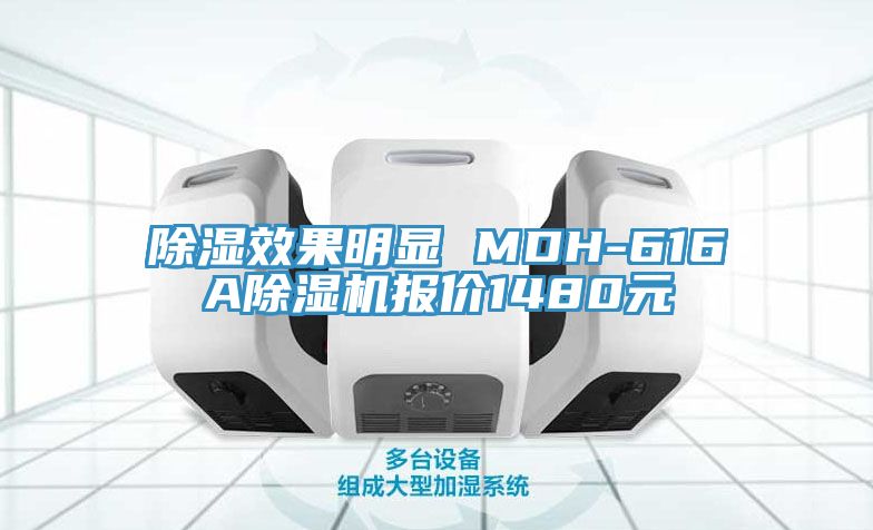 除濕效果明顯 MDH-616A91看片网站報價1480元