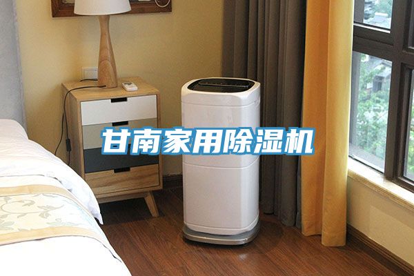 甘南家用91看片网站