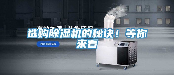 選購91看片网站的秘訣！等你來看