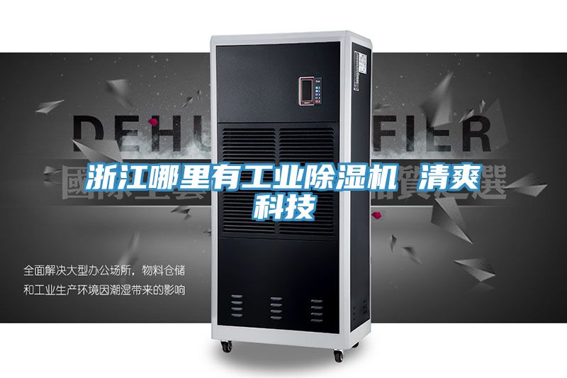 浙江哪裏有工業91看片网站 清爽科技