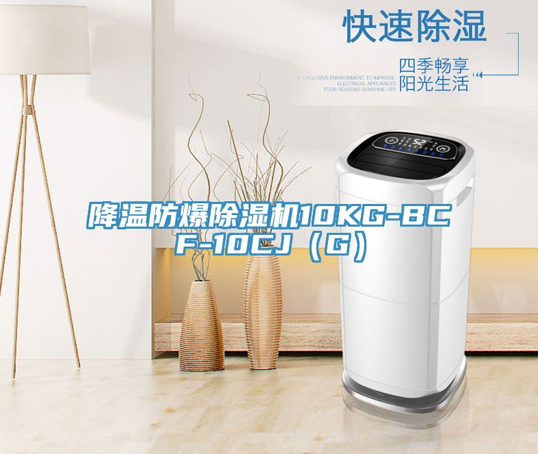 降溫防爆91看片网站10KG-BCF-10CJ（G）