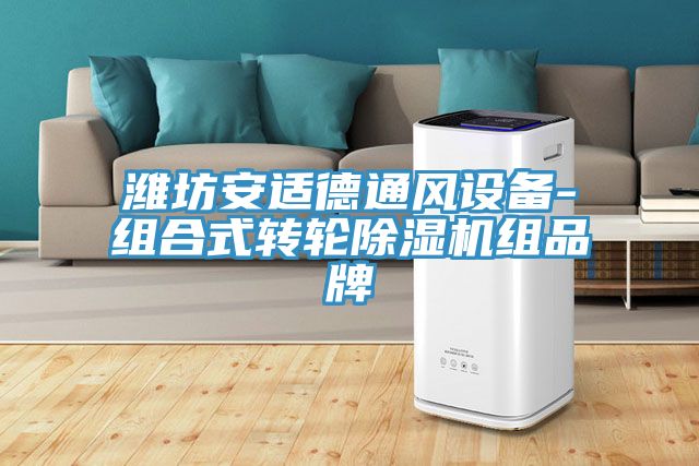 濰坊安適德通風設備-組合式轉輪91看片网站組品牌