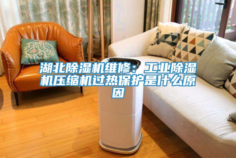 湖北91看片网站維修：工業91看片网站壓縮機過熱保護是什麽原因