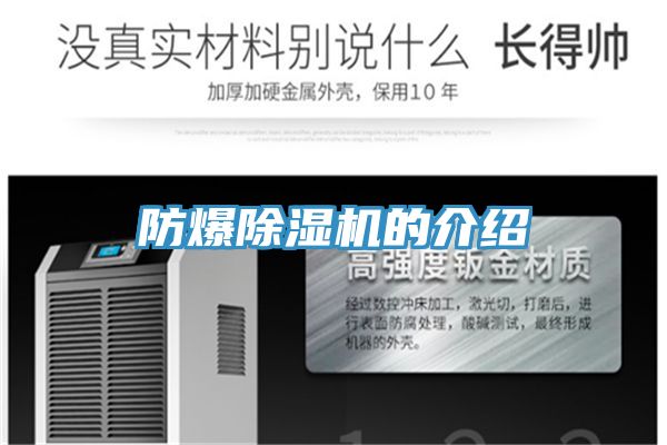 防爆91看片网站的介紹