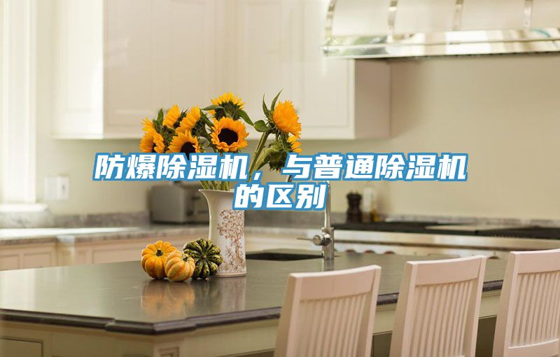 防爆91看片网站，與普通91看片网站的區別