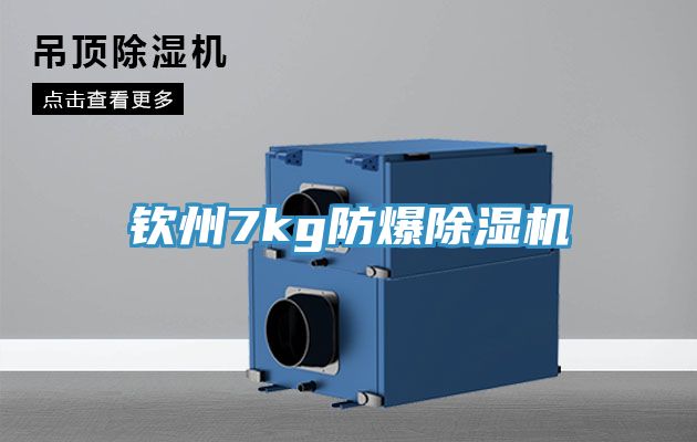 欽州7kg防爆91看片网站
