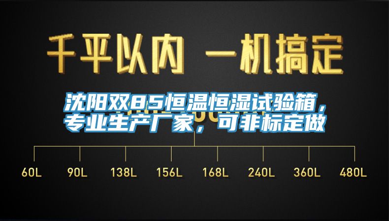 沈陽雙85恒溫恒濕試驗箱，專業生產廠家，可非標定做