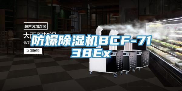 防爆91看片网站BCF-7138Ex