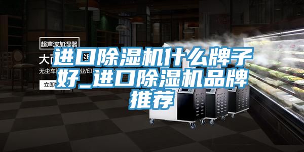 進口91看片网站什麽牌子好_進口91看片网站品牌推薦
