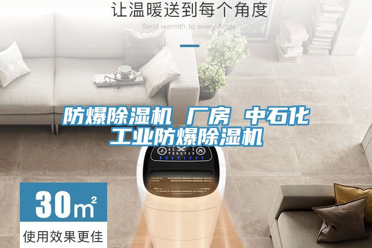 防爆91看片网站 廠房 中石化工業防爆91看片网站