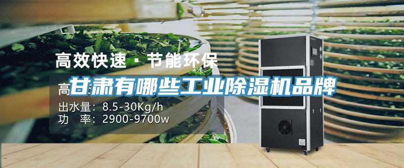 甘肅有哪些工業91看片网站品牌
