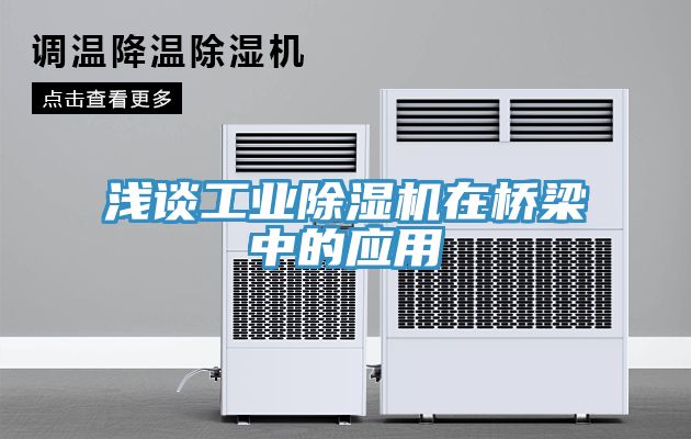 淺談工業91看片网站在橋梁中的應用