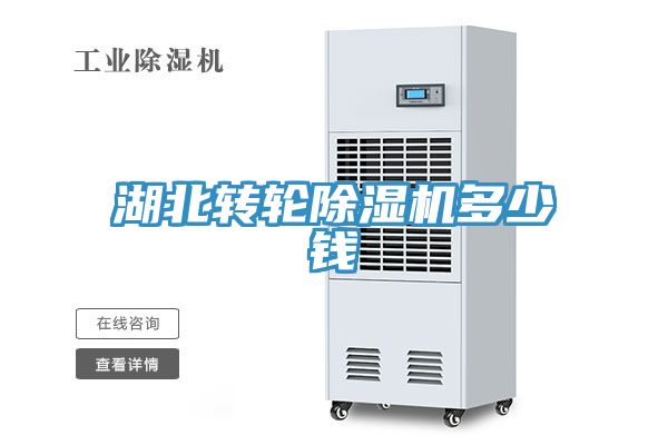 湖北轉輪91看片网站多少錢