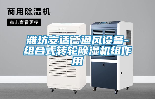 濰坊安適德通風設備-組合式轉輪91看片网站組作用
