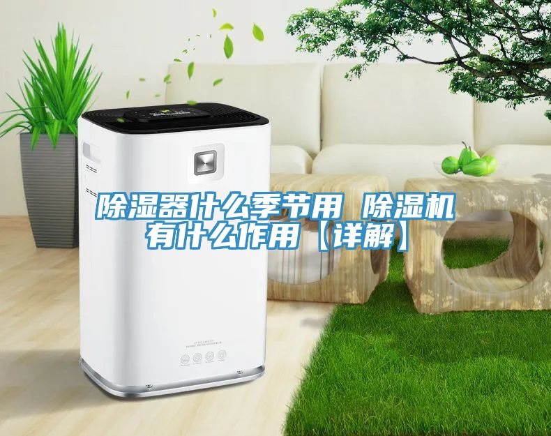 除濕器什麽季節用 91看片网站有什麽作用【詳解】