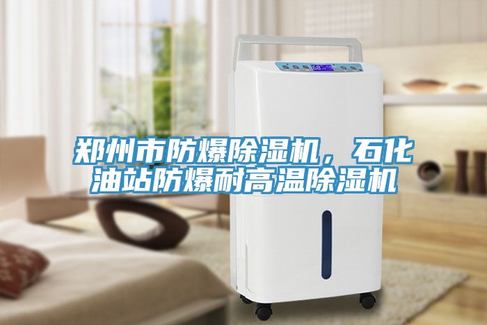 鄭州市防爆91看片网站，石化油站防爆耐高溫91看片网站