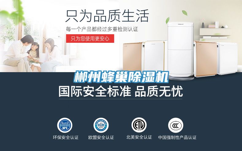 郴州蜂巢91看片网站