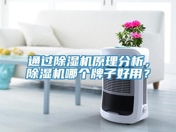 通過91看片网站原理分析，91看片网站哪個牌子好用？